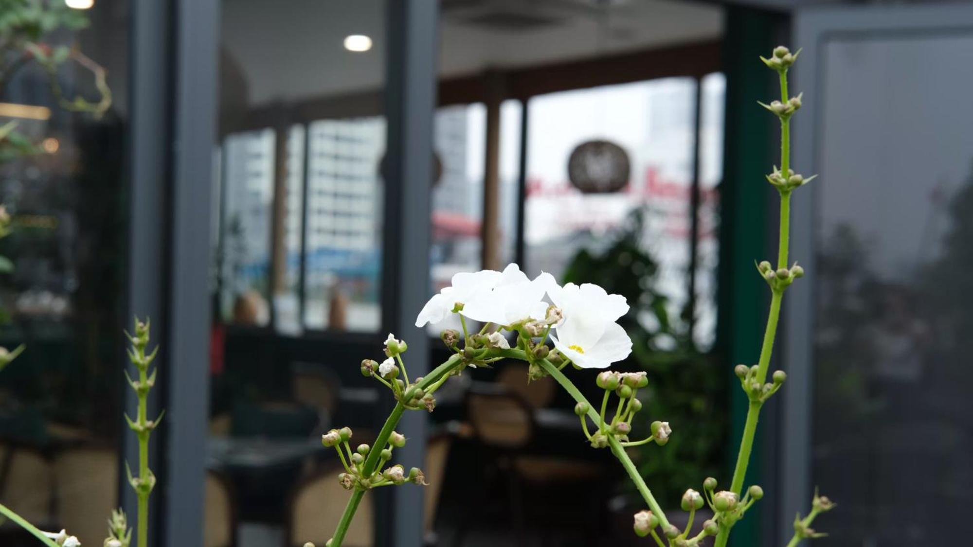 The Bloom Classic - Hotel And Bistro Hanoi Exterior photo